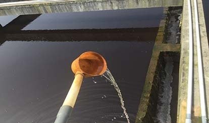 污水处理站终沉池出水 污水处理站终沉池出水