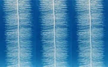 弹性填料产品最全介绍