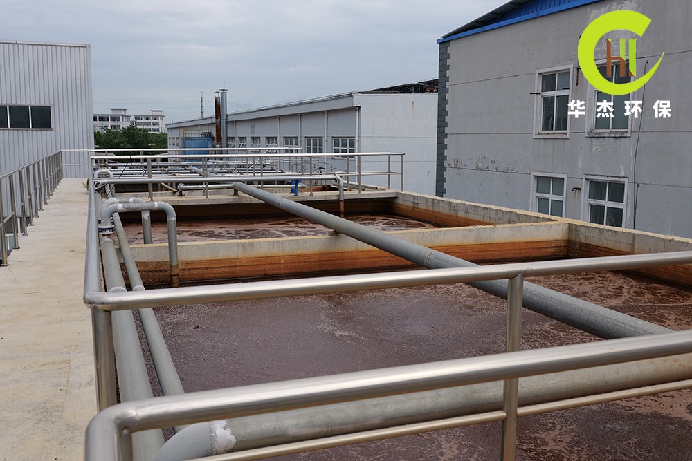 1730183702704264.jpg P1016244